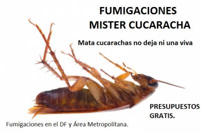 20150823220806-20150723013823-mister-cucaracha.jpg