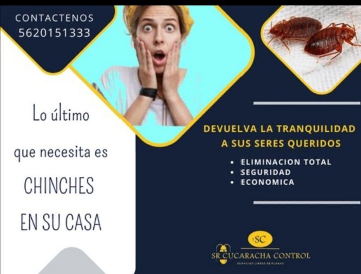 Lo &uacute;ltimo que necesita es chinches en su casa.